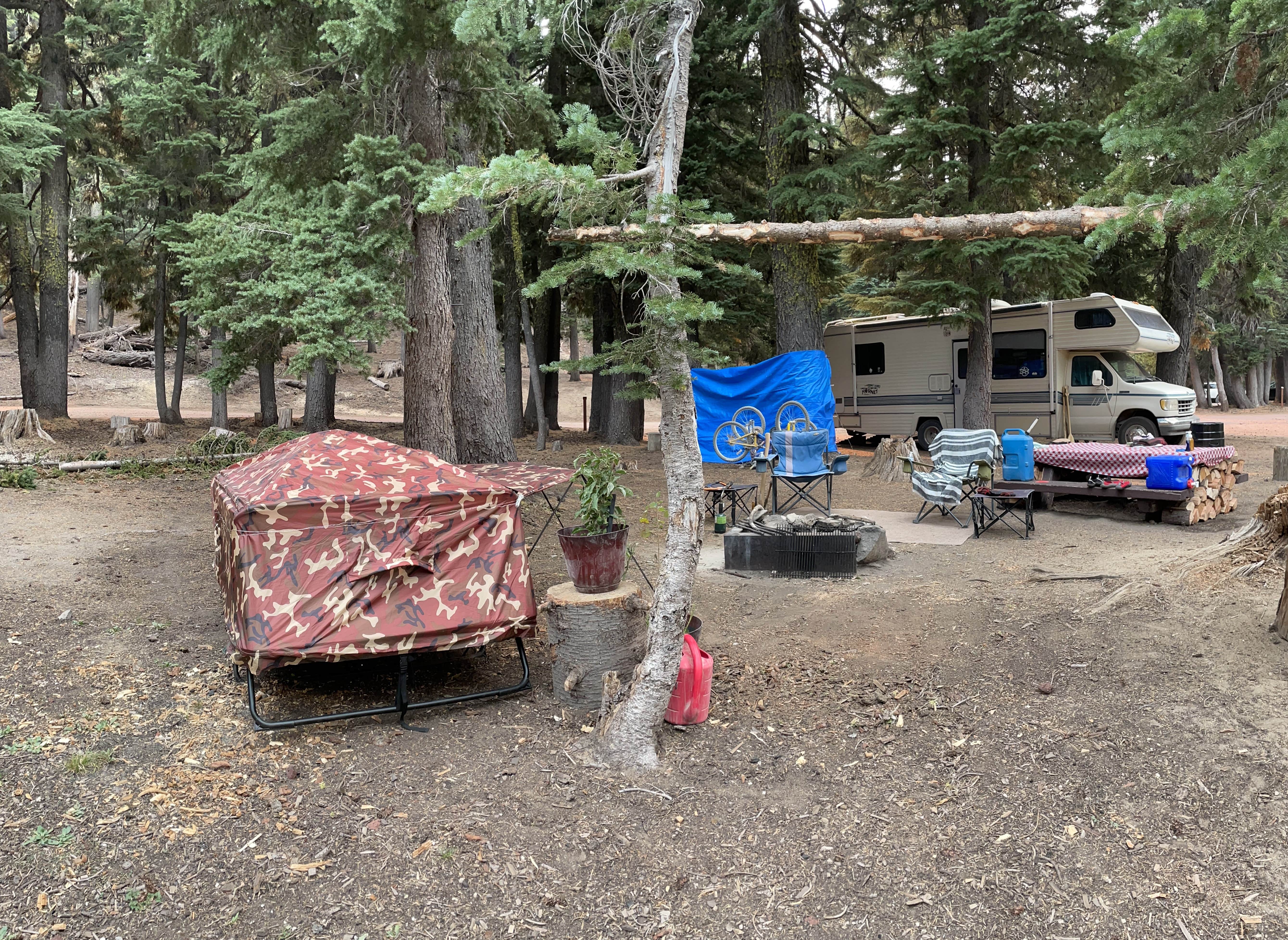 Camper submitted image from Three Creeks Lake Campground - 2