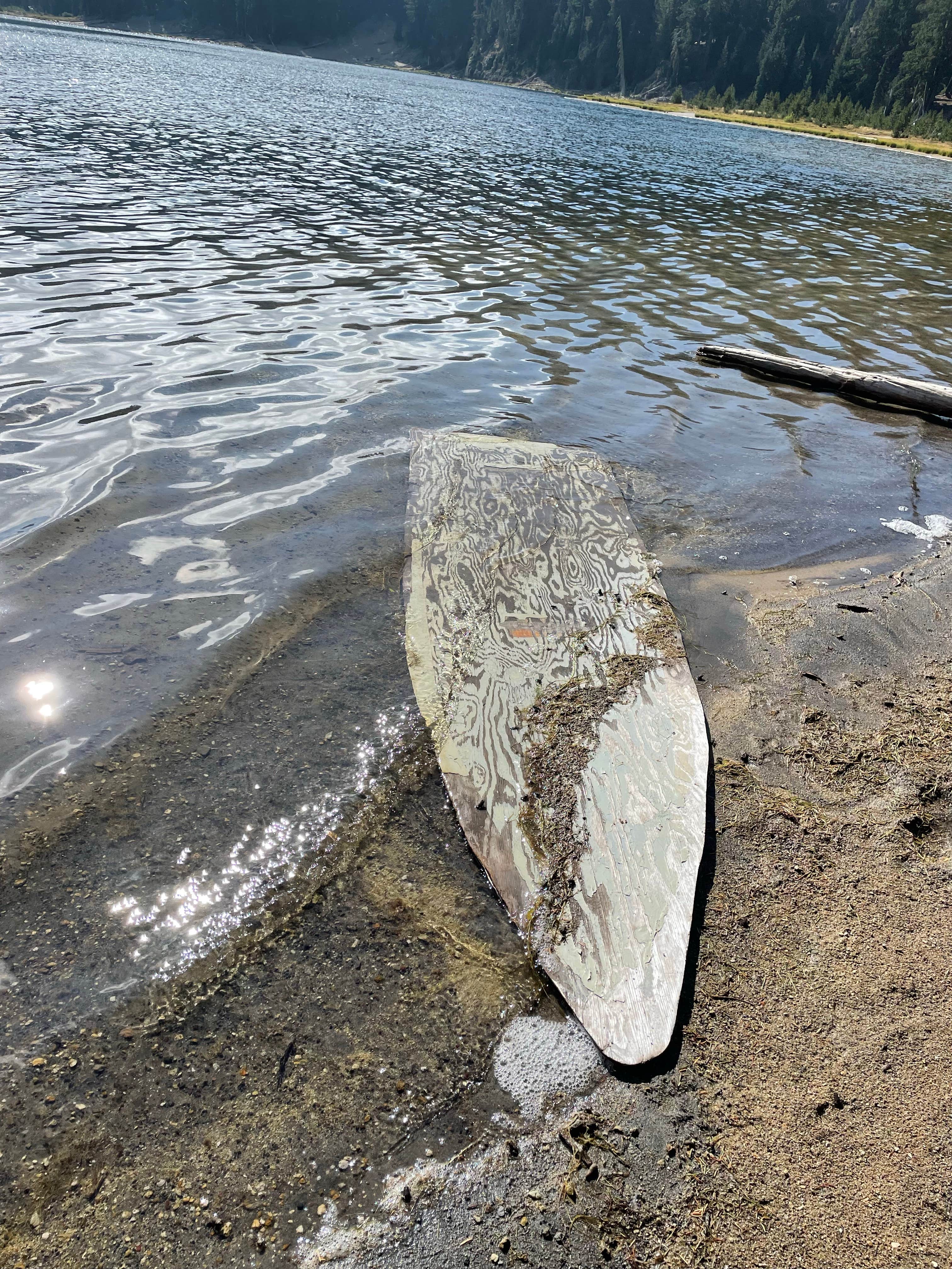 Camper submitted image from Driftwood Campground - Deschutes - 4