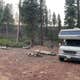 Black Pine Dispersed Camping