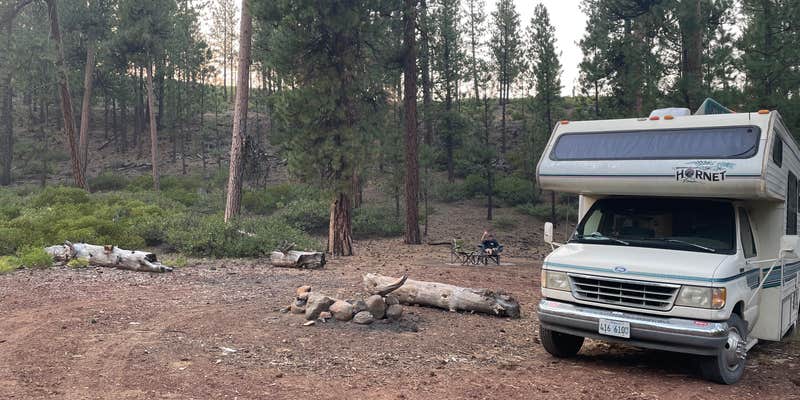 Camper submitted image from Black Pine Dispersed Camping
