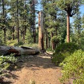 Review photo of Black Pine Dispersed Camping by Daisee Mae S., September 17, 2022