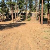 Review photo of Black Pine Dispersed Camping by Daisee Mae S., September 17, 2022