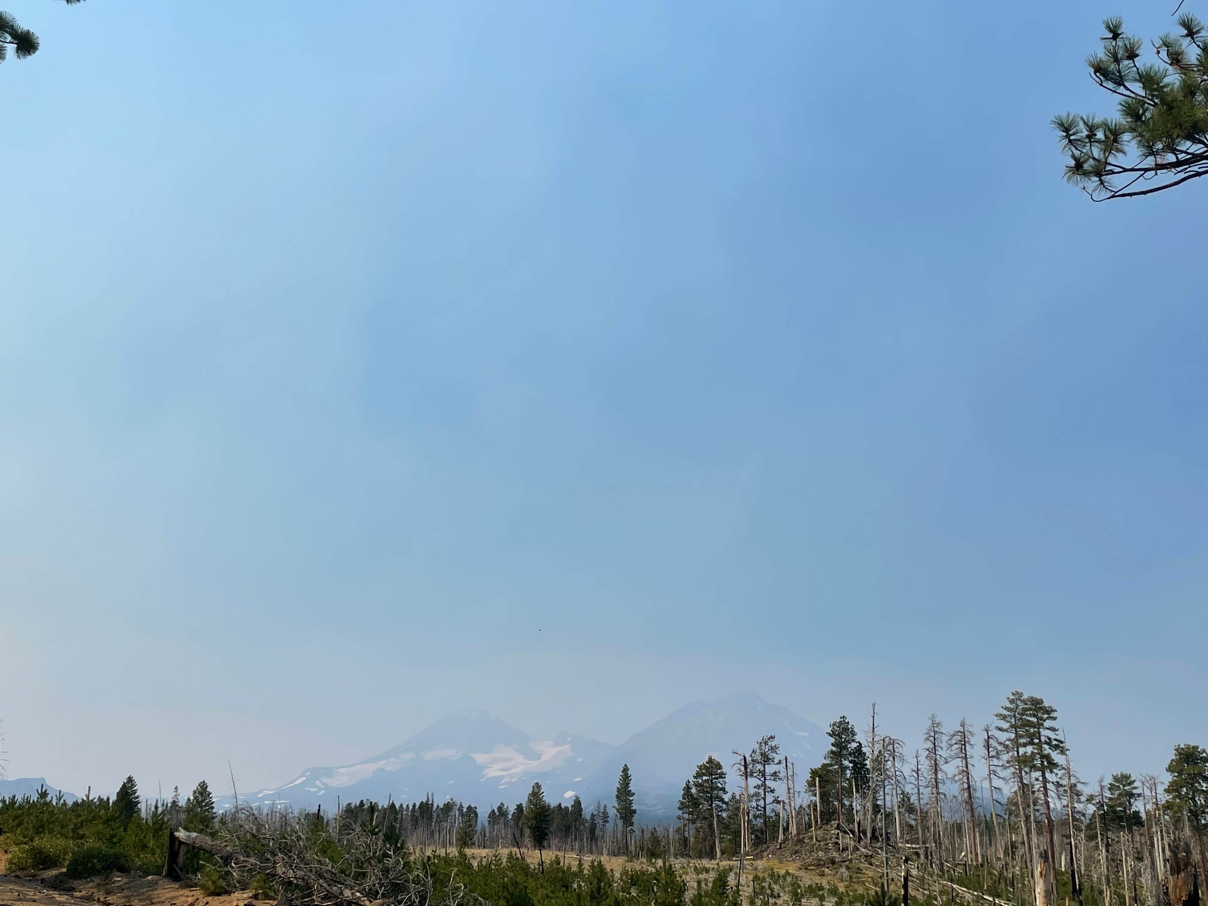 Camper-submitted photo at Black Pine Dispersed Camping near Mckenzie Bridge, OR