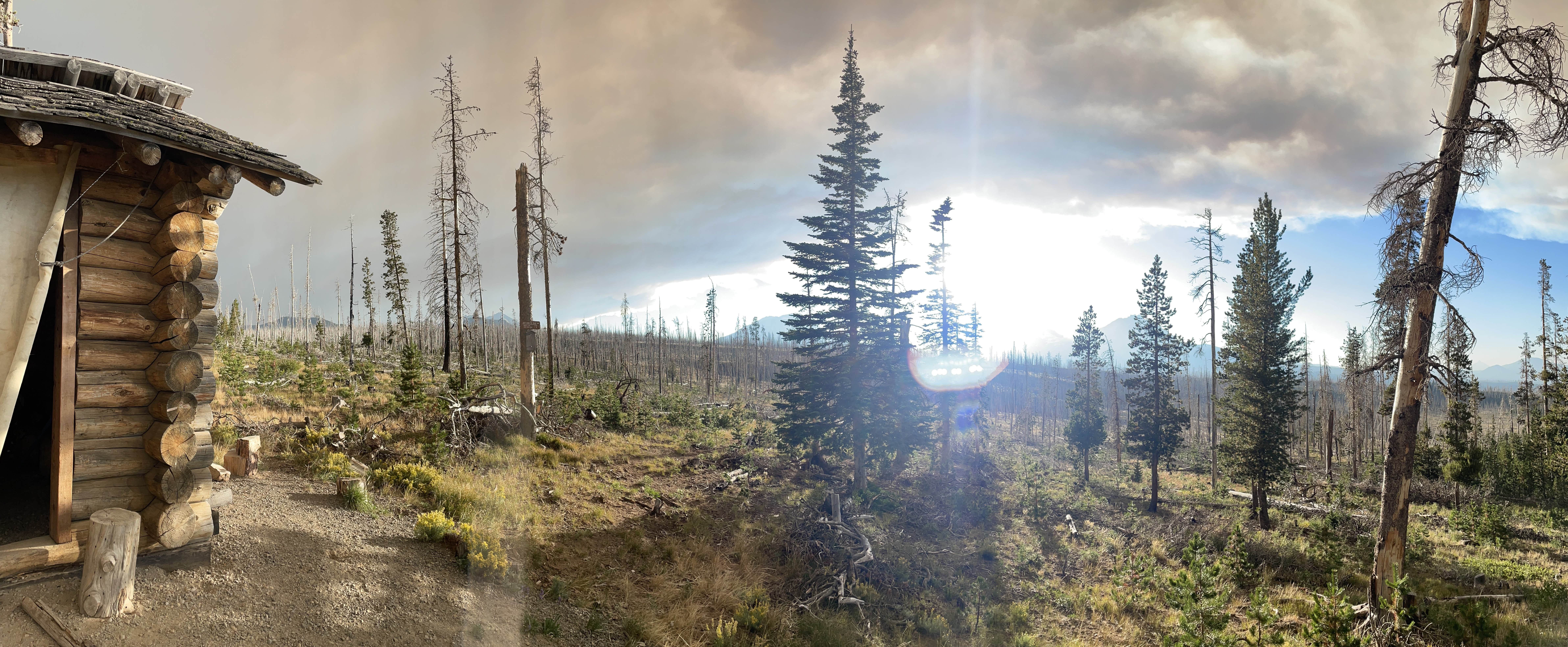 Camper-submitted photo at Black Pine Dispersed Camping near Mckenzie Bridge, OR