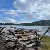 Review photo of Driftwood Campground - Deschutes by Daisee Mae S., September 17, 2022