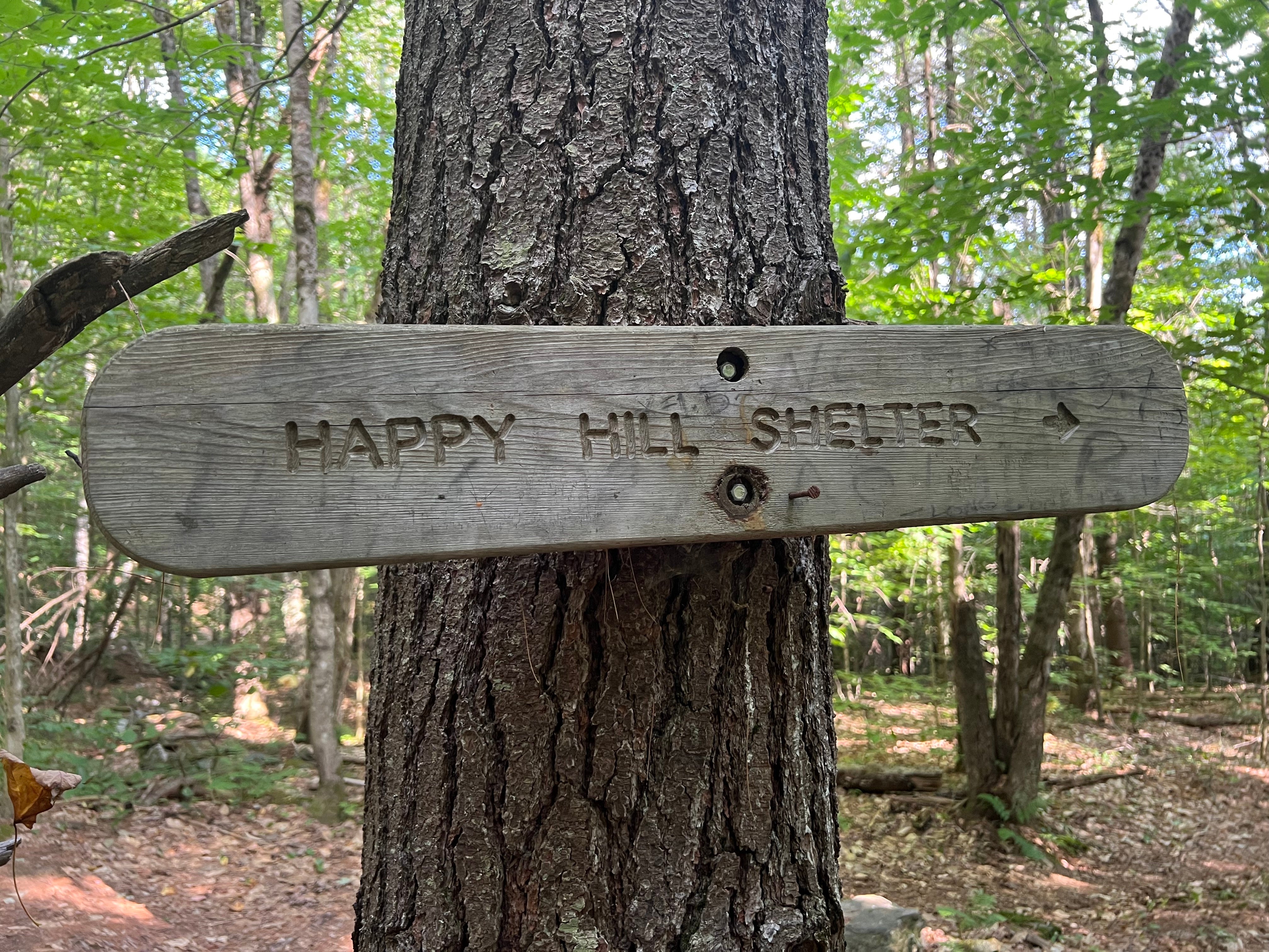 Camper submitted image from Happy Hill Backcountry Shelter on the AT in Vermont — Appalachian National Scenic Trail - 2
