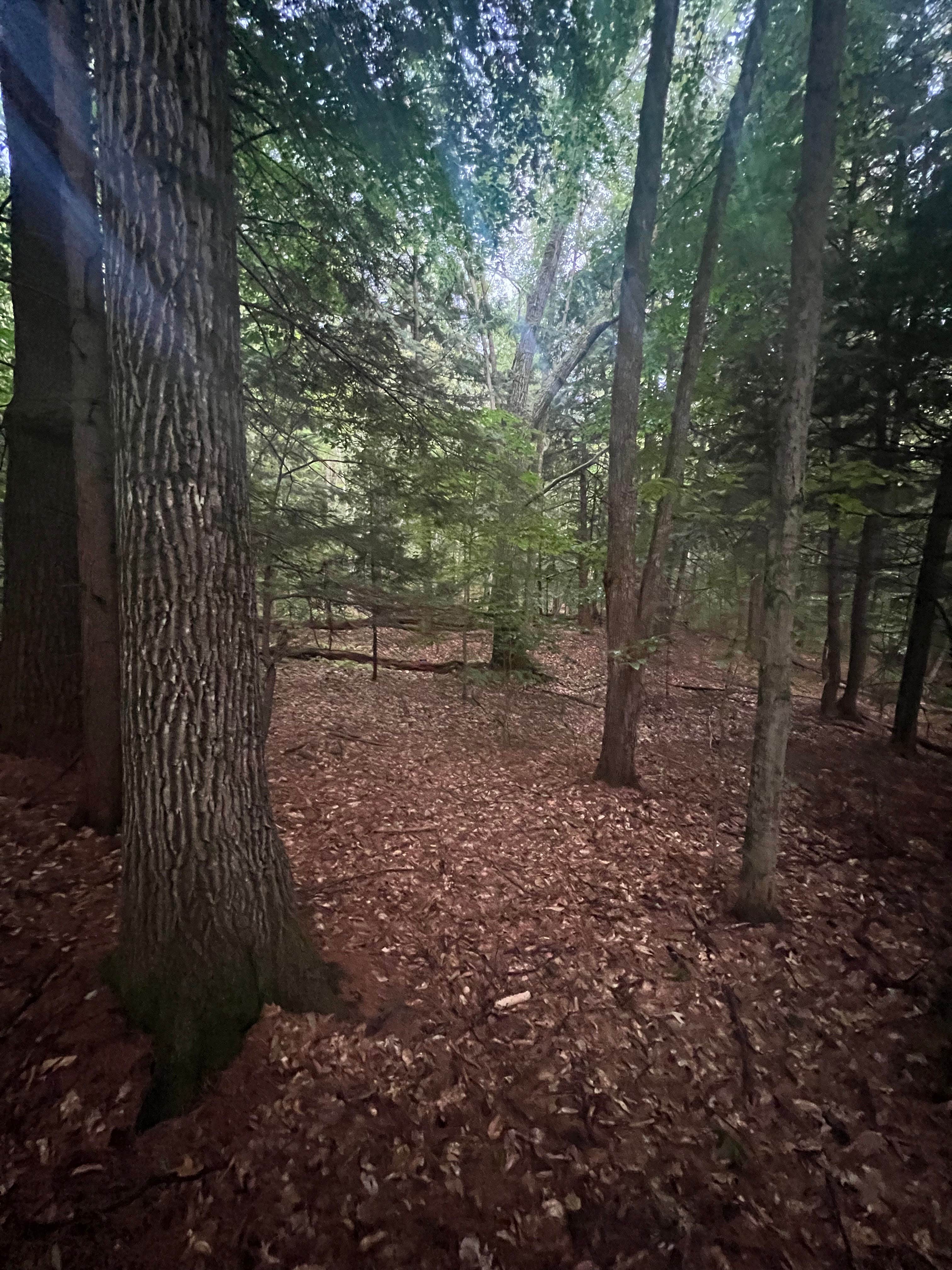 Camper-submitted photo at Happy Hill Backcountry Shelter on the AT in Vermont — Appalachian National Scenic Trail near South Royalton, VT