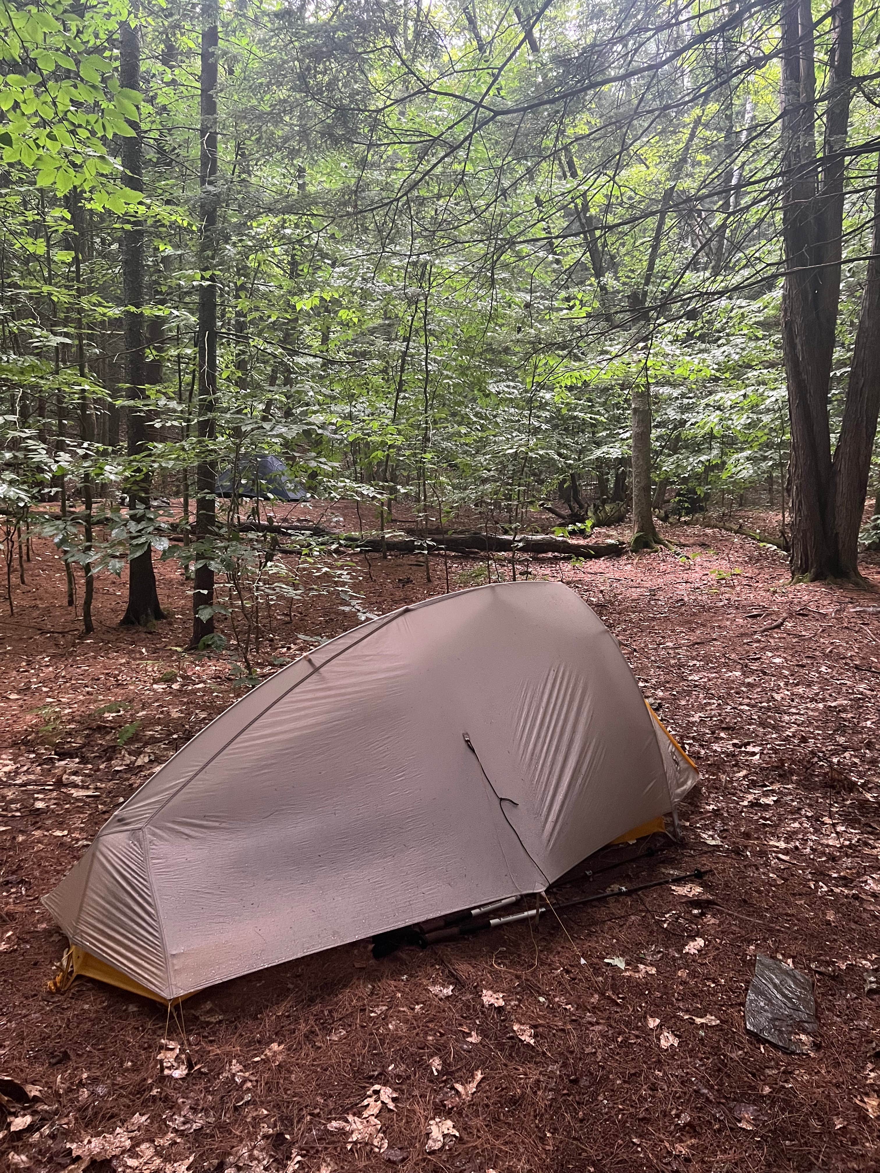 Justin P.'s photo at Happy Hill Backcountry Shelter on the AT in Vermont — Appalachian National Scenic Trail near Thetford, VT