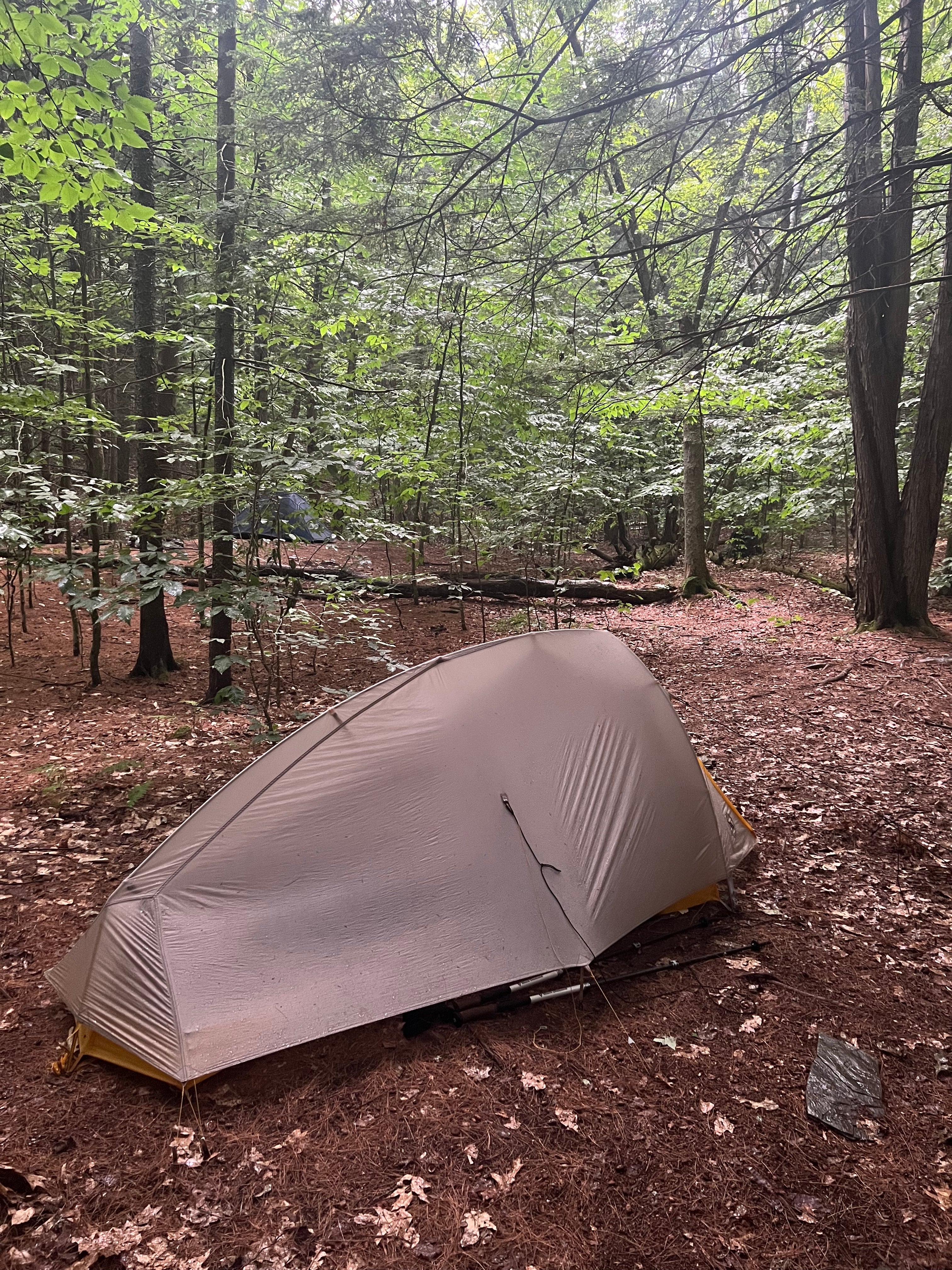 Camper submitted image from Happy Hill Backcountry Shelter on the AT in Vermont — Appalachian National Scenic Trail - 1