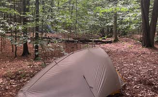 Justin P.'s photo of tent camping at Happy Hill Backcountry Shelter on the AT in Vermont — Appalachian National Scenic Trail near Hartford, VT
