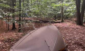 Camping near Moose Mountain Backcountry Shelter on the AT — Appalachian National Scenic Trail: Happy Hill Backcountry Shelter on the AT in Vermont — Appalachian National Scenic Trail, West Hartford, Vermont