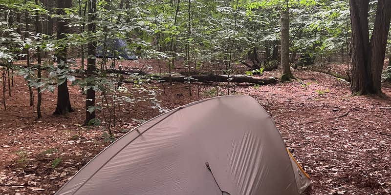 Camper submitted image from Happy Hill Backcountry Shelter on the AT in Vermont — Appalachian National Scenic Trail