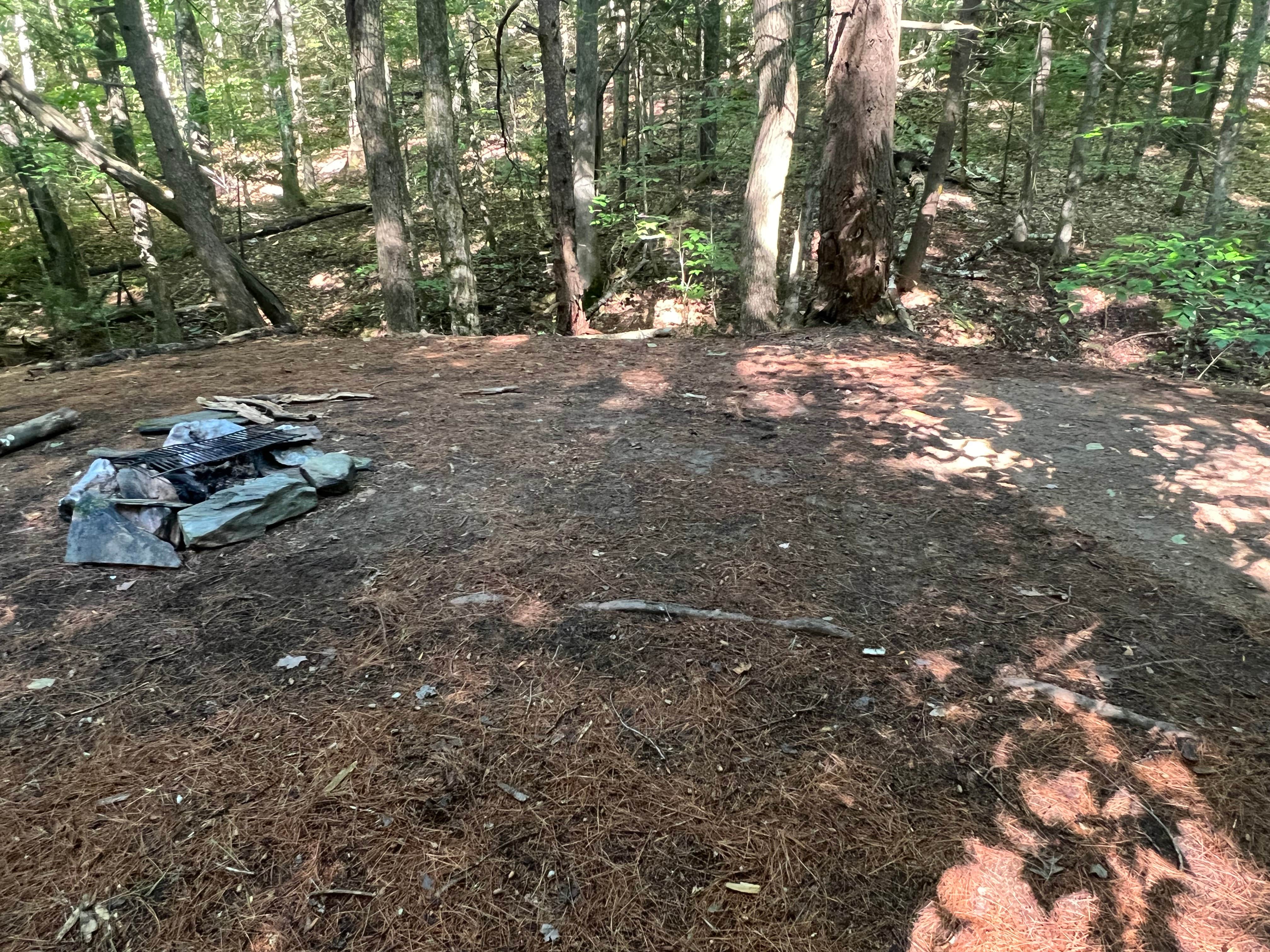 Camper-submitted photo at Happy Hill Backcountry Shelter on the AT in Vermont — Appalachian National Scenic Trail near South Royalton, VT