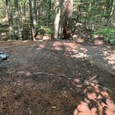 Review photo of Happy Hill Backcountry Shelter on the AT in Vermont — Appalachian National Scenic Trail by Justin P., September 17, 2022