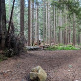 Review photo of Denny Creek Campground - Temporarily Closed by Mary C., September 1, 2018