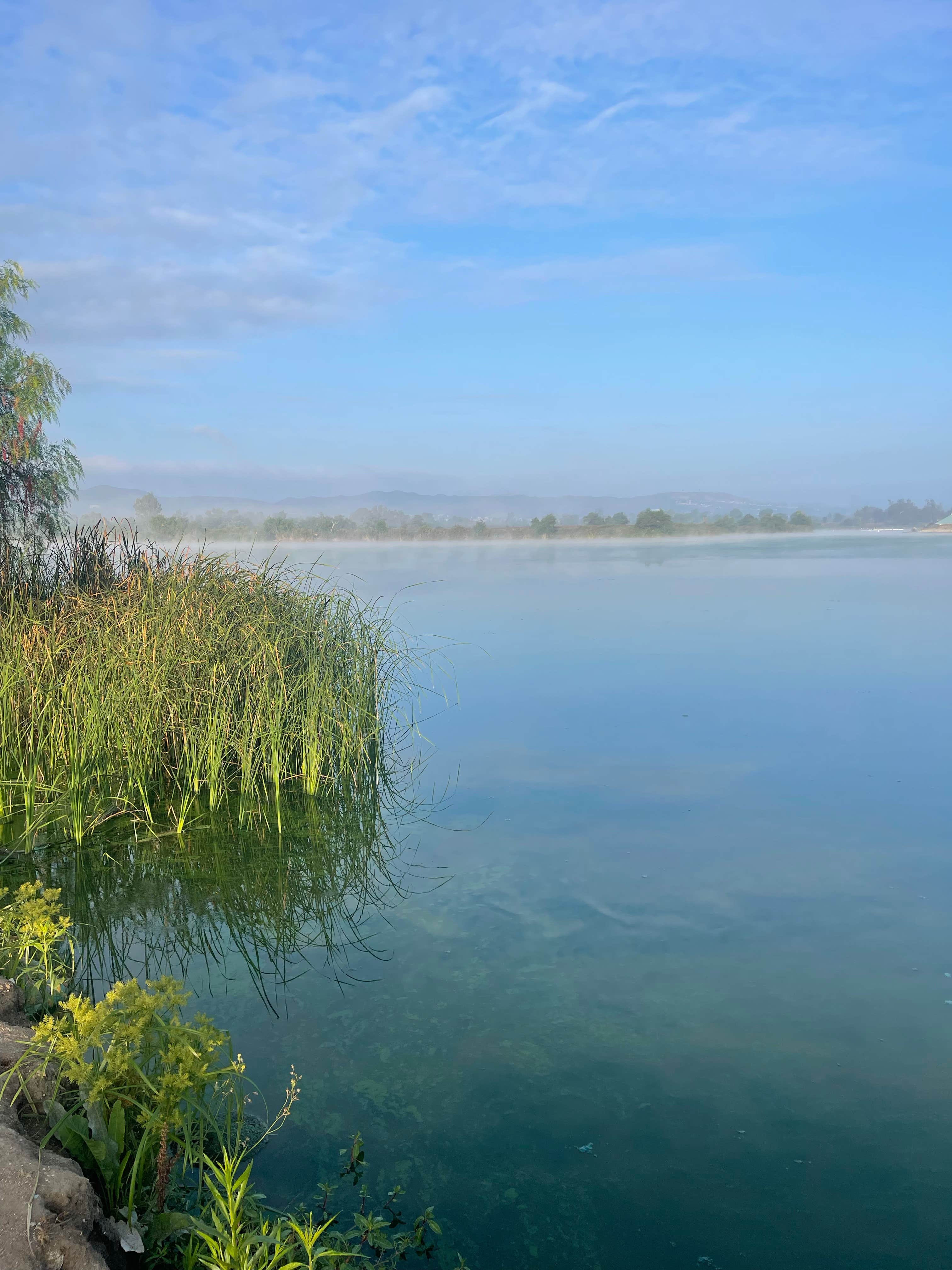 Camper submitted image from Prado Regional Park - 2