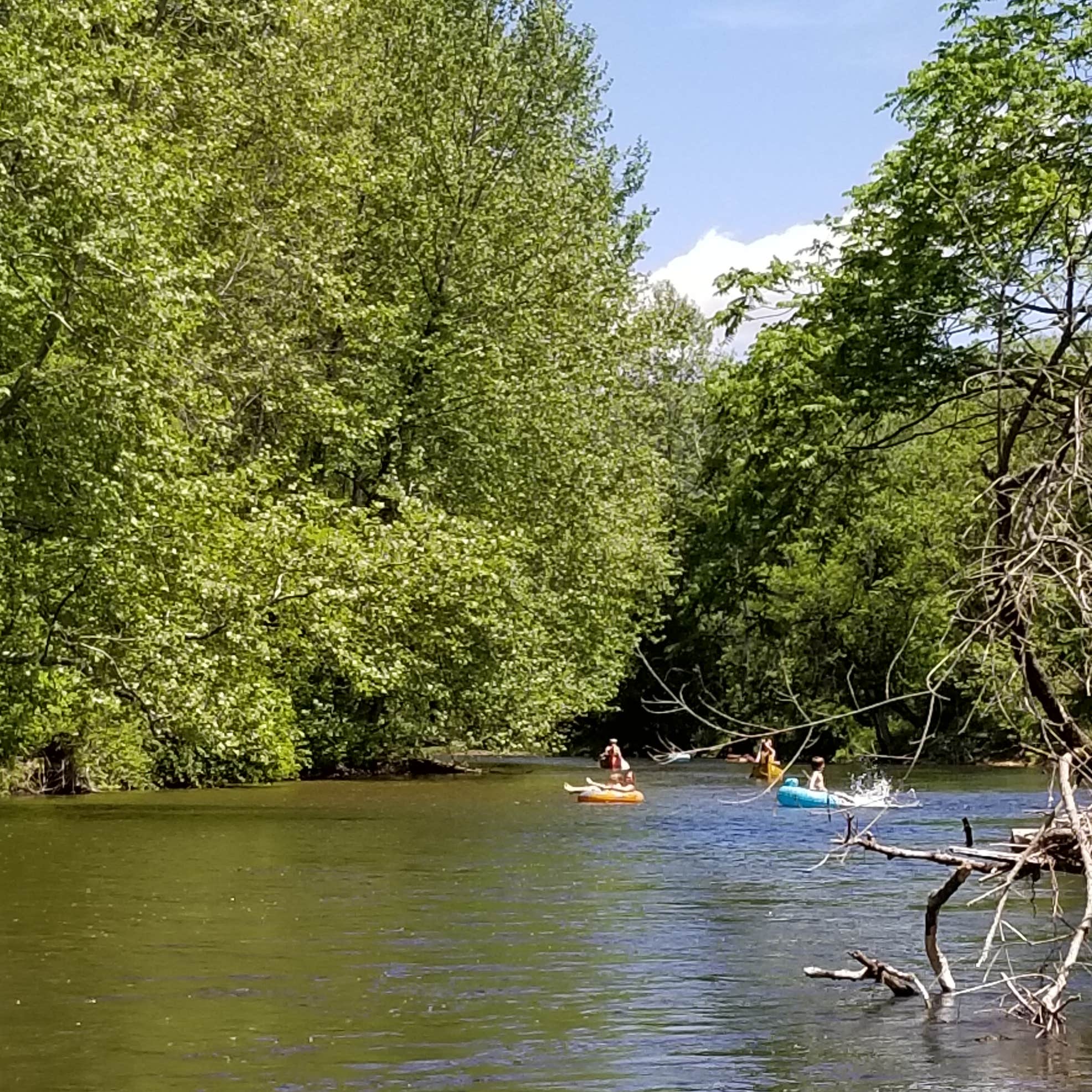 The Preserve Battenkill River Camping The Dyrt