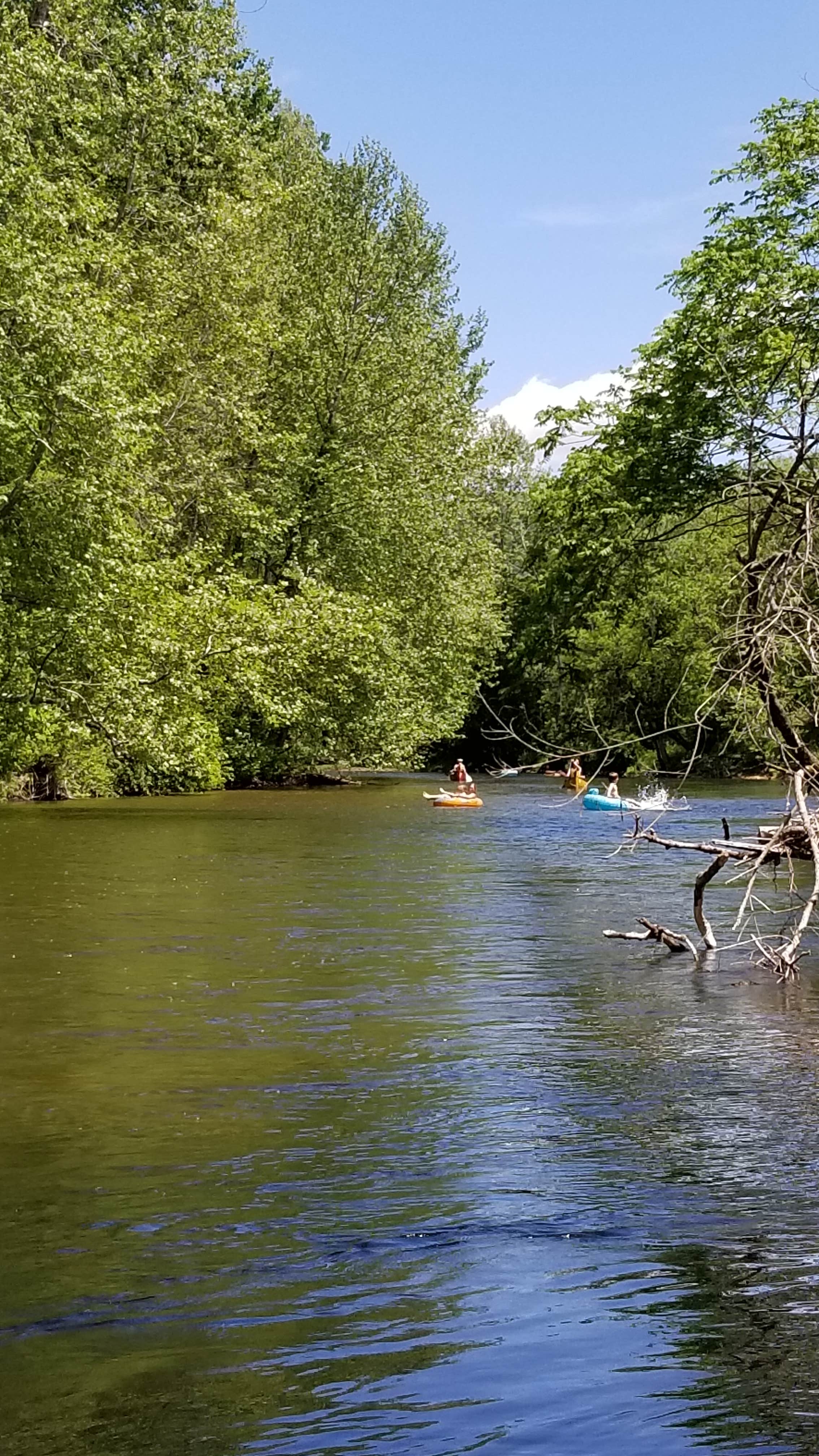 Camper submitted image from The Preserve Battenkill River - 2