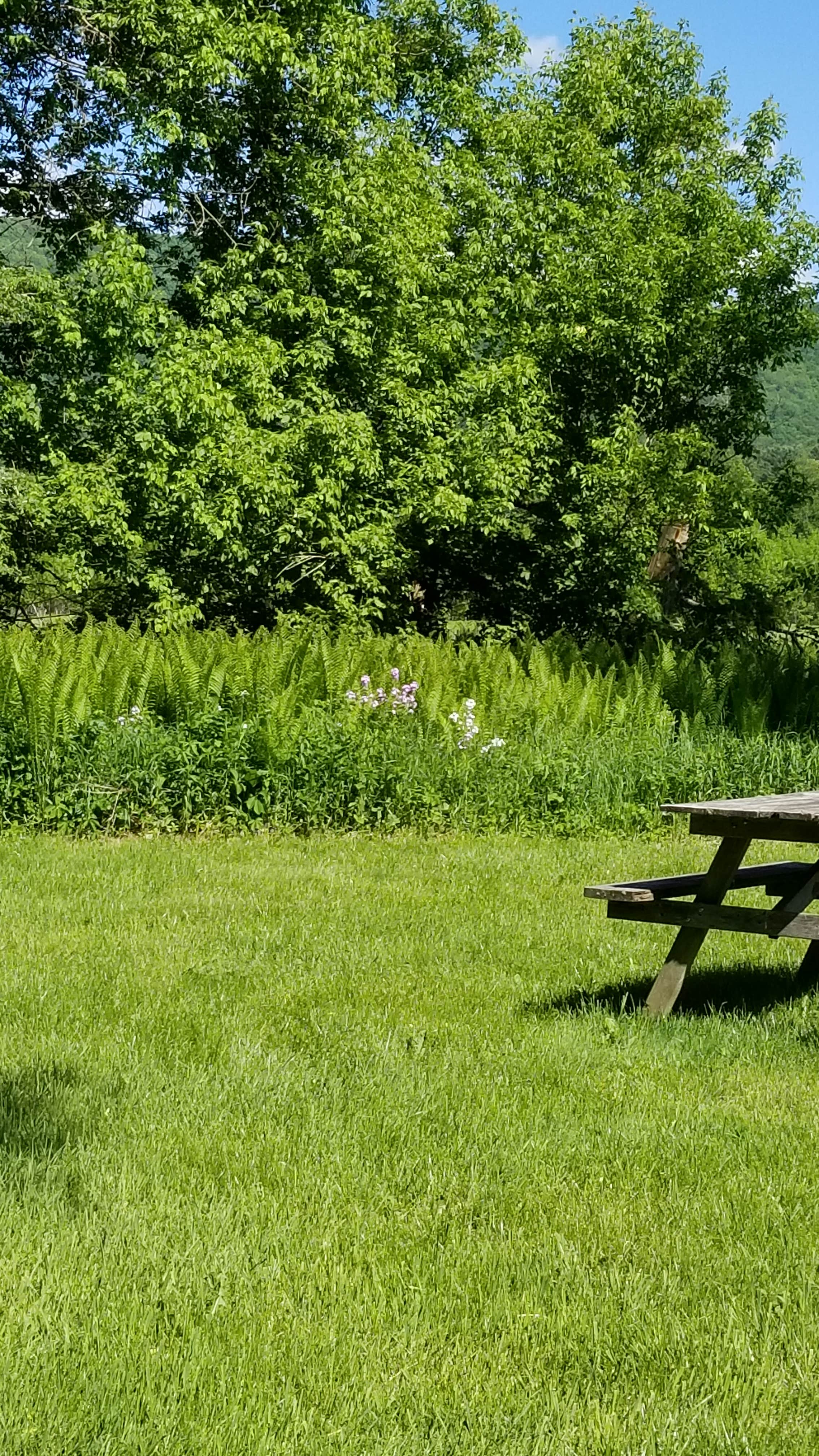 Camper-submitted photo at Battenkill Glamping Resort near Arlington, VT