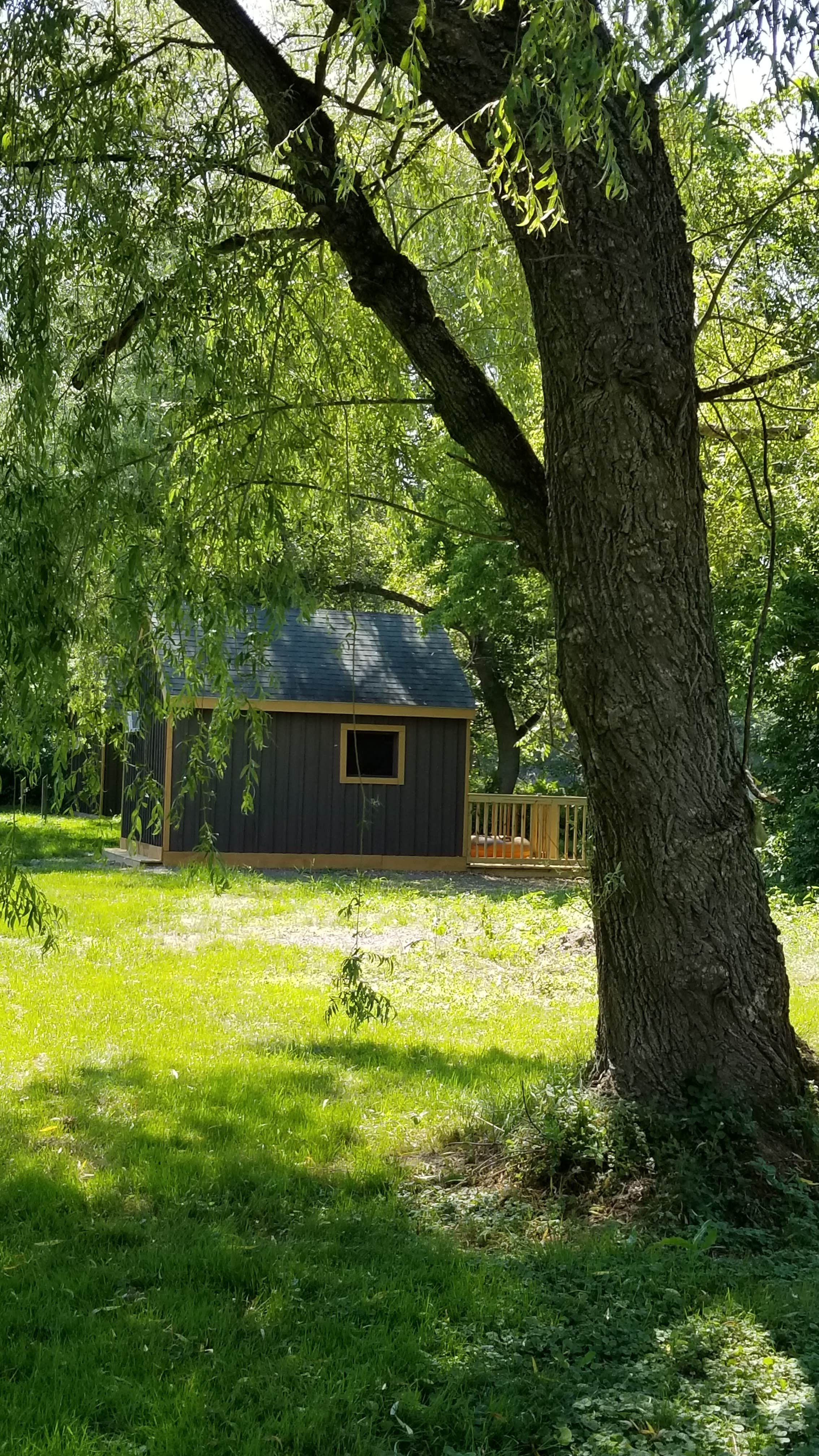 Camper submitted image from The Preserve Battenkill River - 1