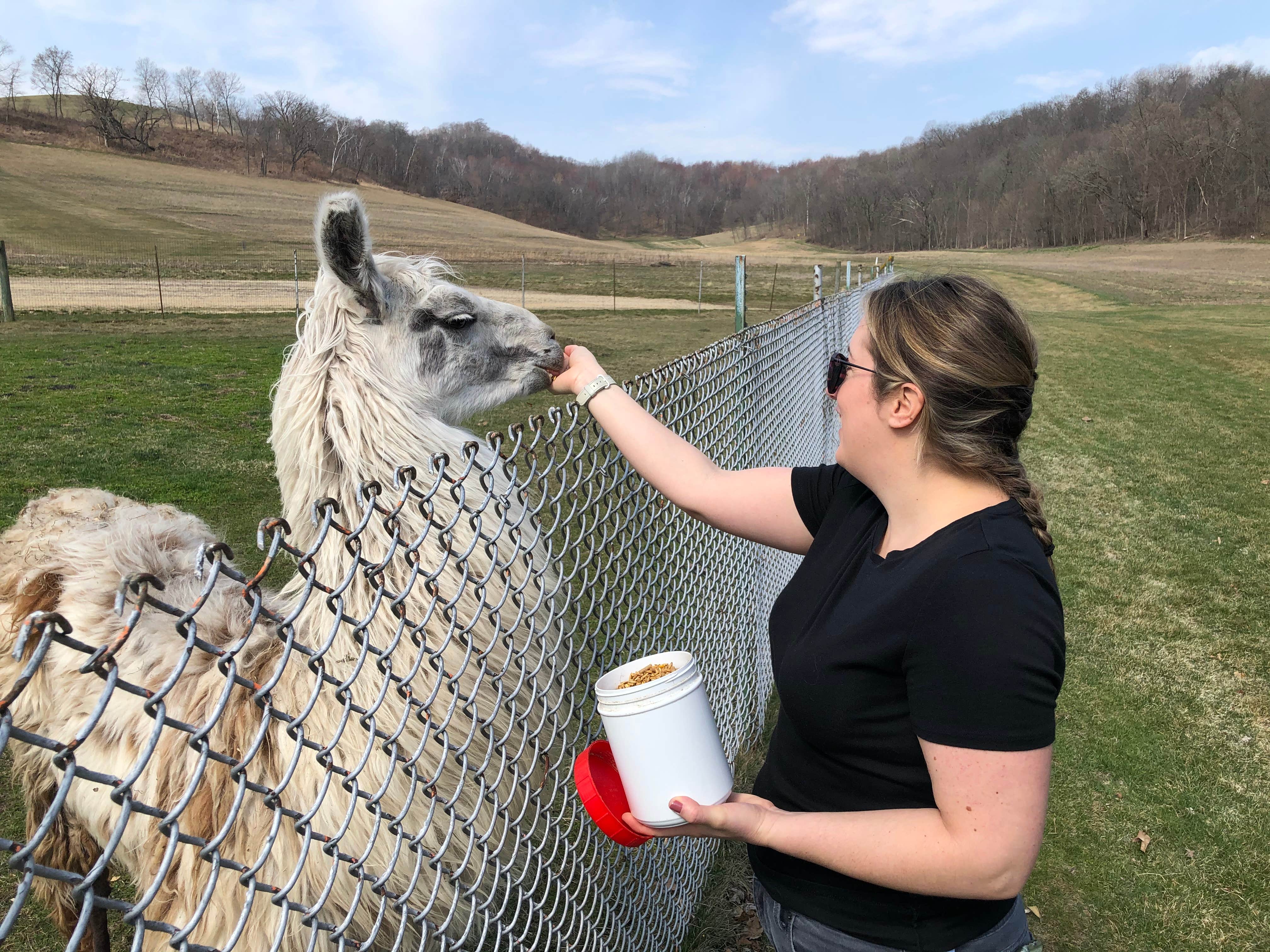 Camping near Veterans Memorial Park & Campground: Justin Trails Resort, Sparta, Wisconsin