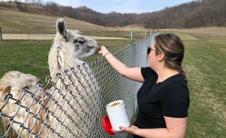 Michael V.'s photo of camping with pets at Justin Trails Resort near Viroqua, WI
