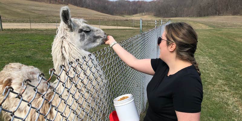 Camper submitted image from Justin Trails Resort