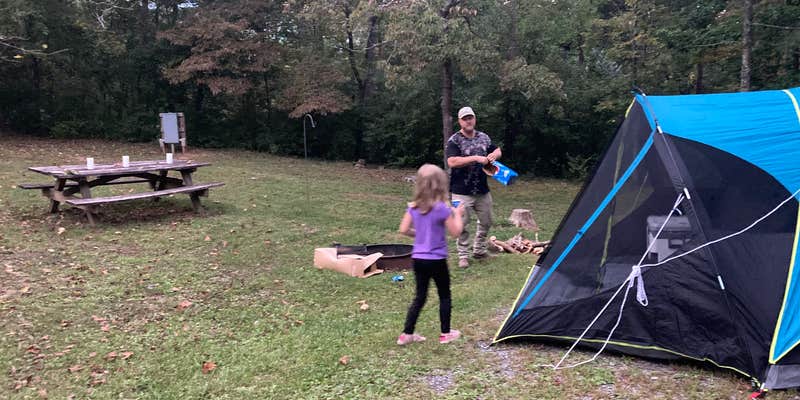 Camper submitted image from Lake Robertson