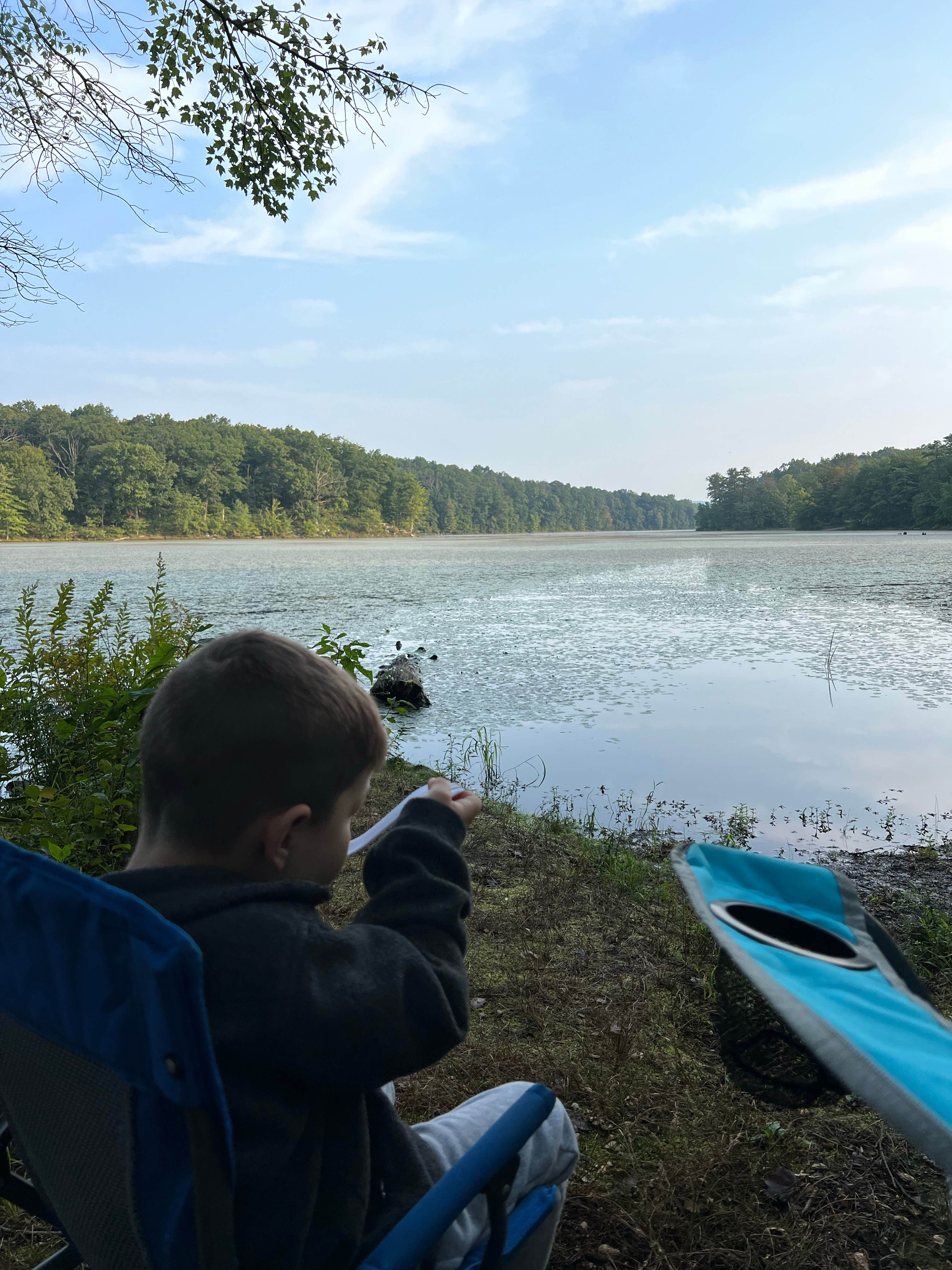 Camper submitted image from Sleepy Creek Wildlife Management Area - 5