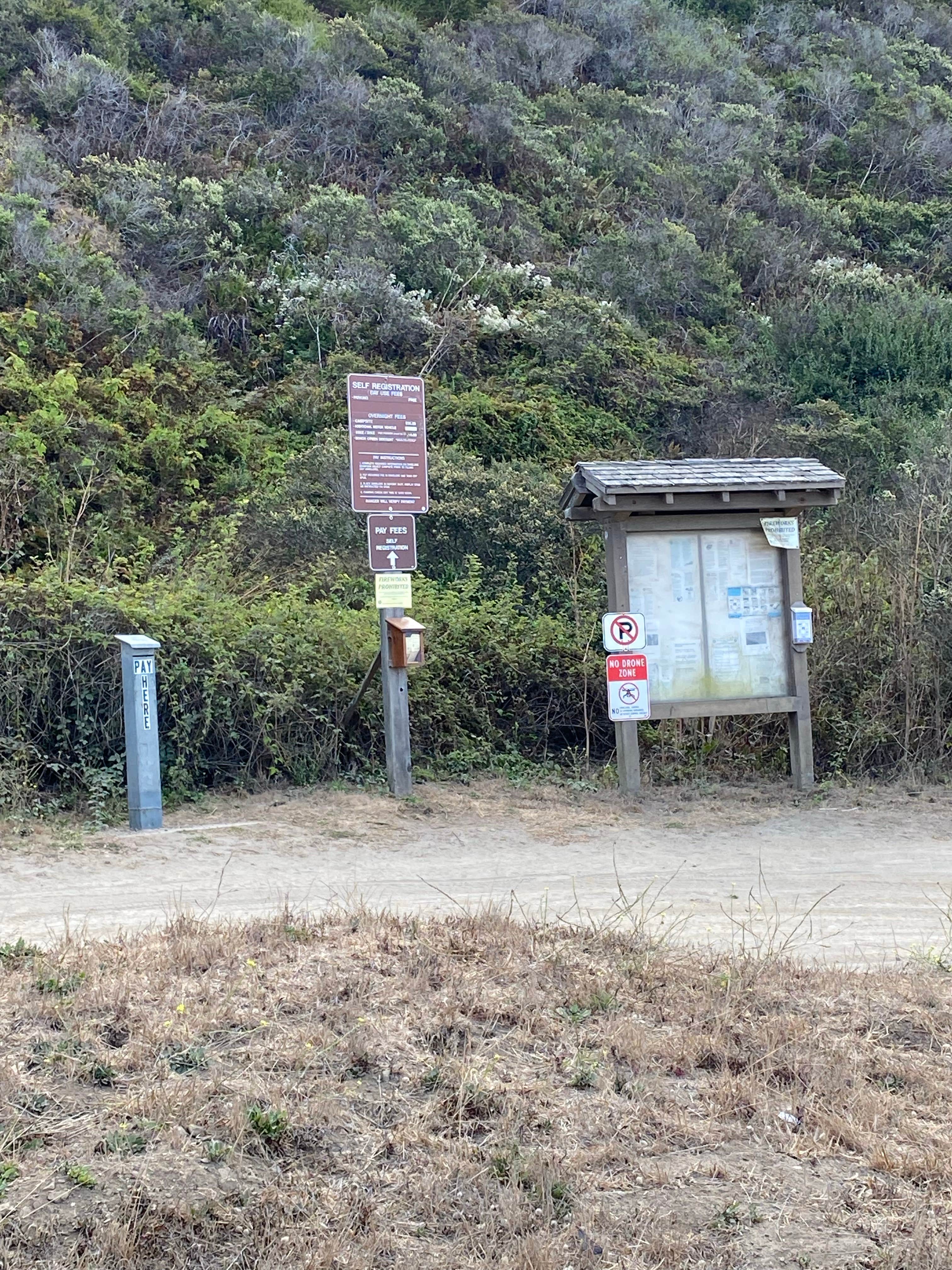 Camper submitted image from Navarro Beach - Navarro River Redwoods State Park - 4