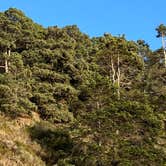 Review photo of Navarro Beach - Navarro River Redwoods State Park by Rich O., September 17, 2022