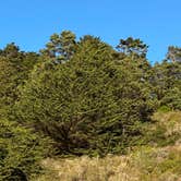 Review photo of Navarro Beach - Navarro River Redwoods State Park by Rich O., September 17, 2022