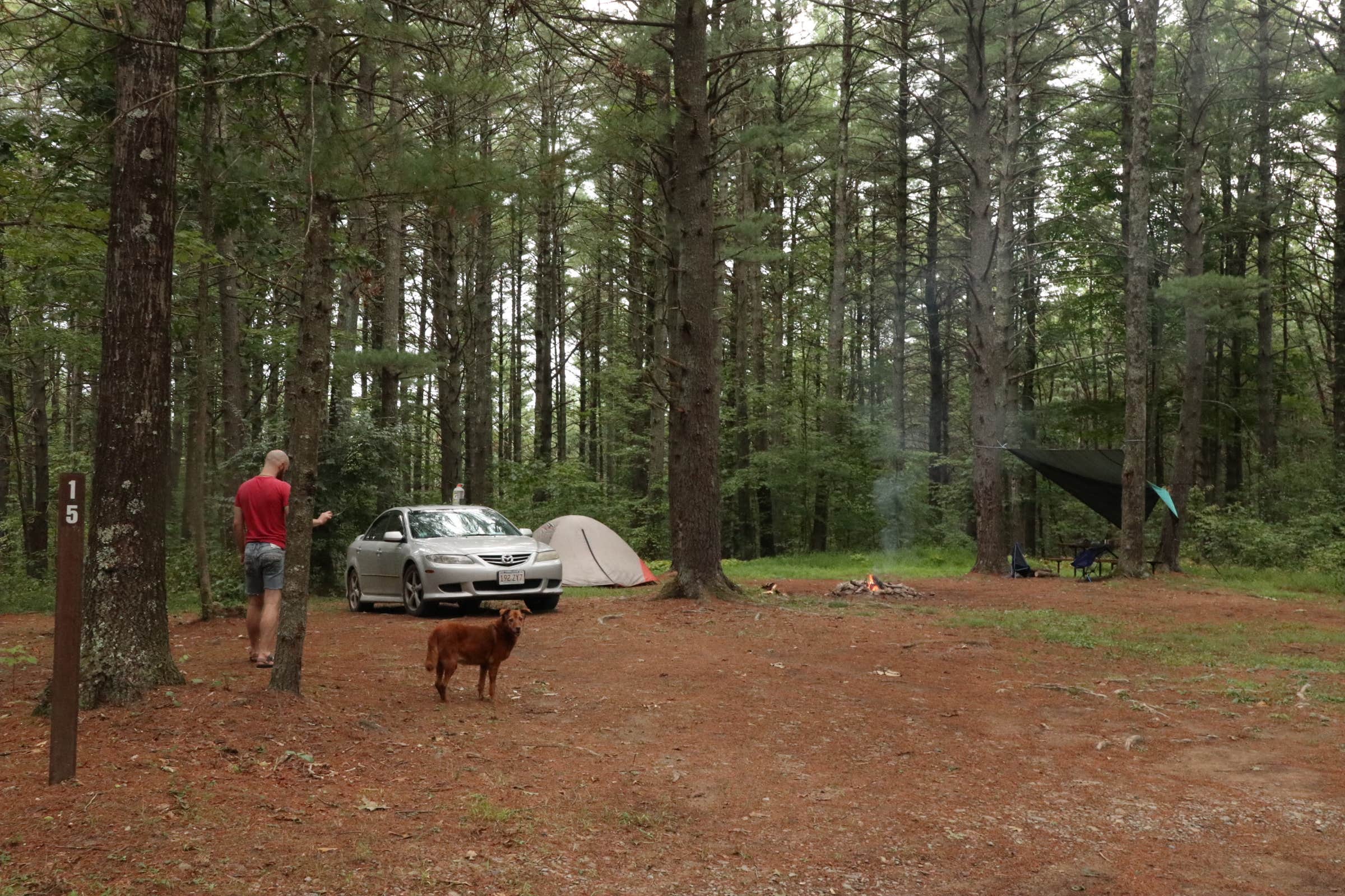 Tommy S.'s photo of camping with pets at Green Ridge State Forest in Maryland