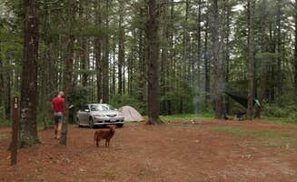 Tommy S.'s photo of camping with pets at Green Ridge State Forest near Cumberland, MD