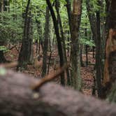 Review photo of Stone Mountain State Park Campground by Tommy S., September 17, 2022