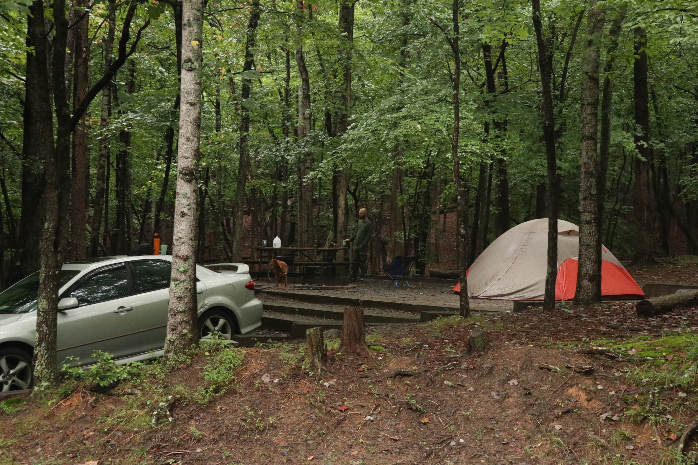 Tommy S.'s photo at Stone Mountain State Park Campground near North Wilkesboro, NC