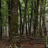 Review photo of Stone Mountain State Park Campground by Tommy S., September 17, 2022