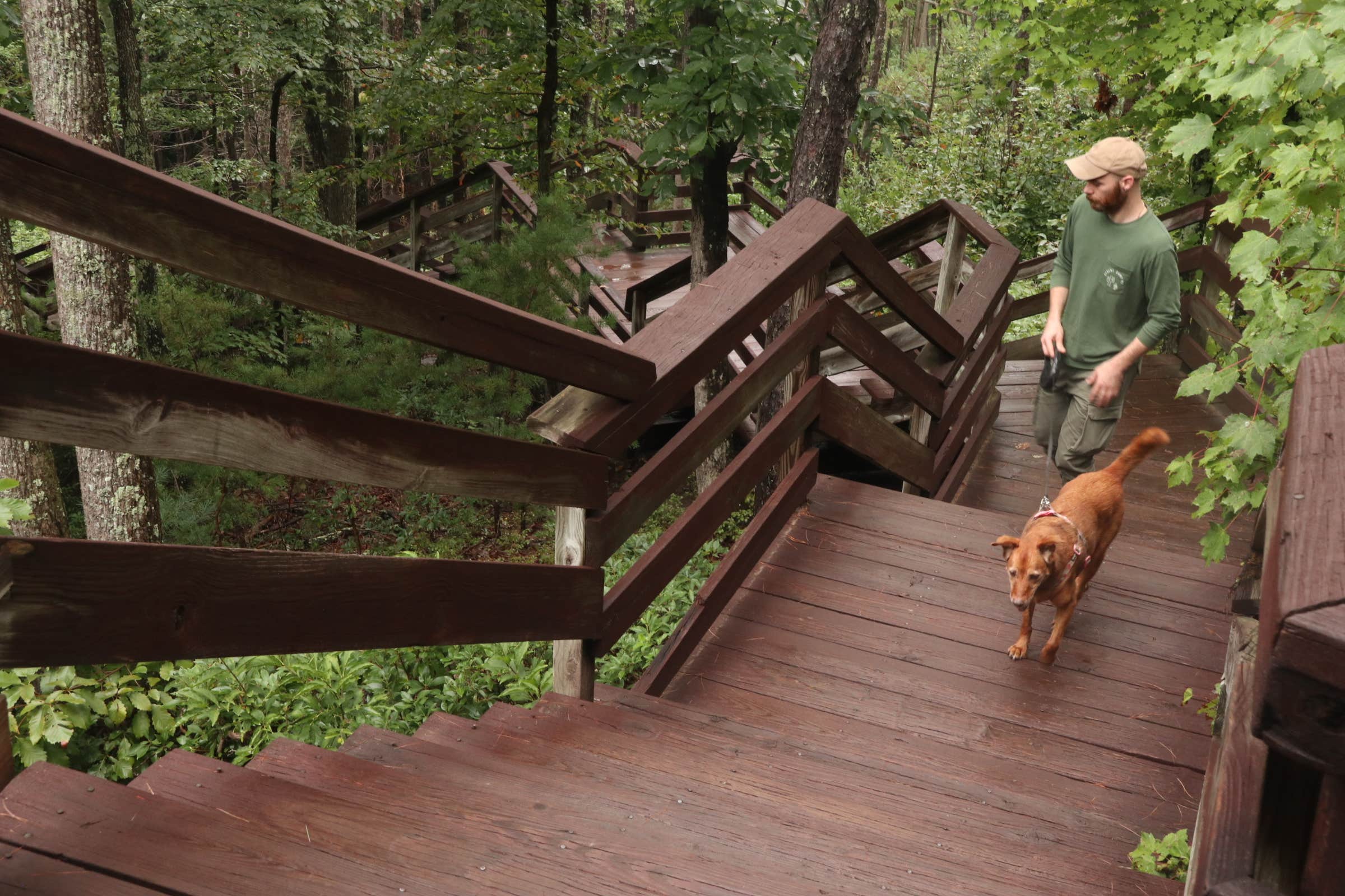 Tommy S.'s photo of camping with pets at Stone Mountain State Park Campground near Mount Airy, NC