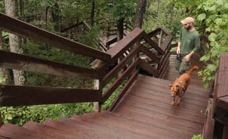 Tommy S.'s photo of camping with pets at Stone Mountain State Park Campground near Galax, VA