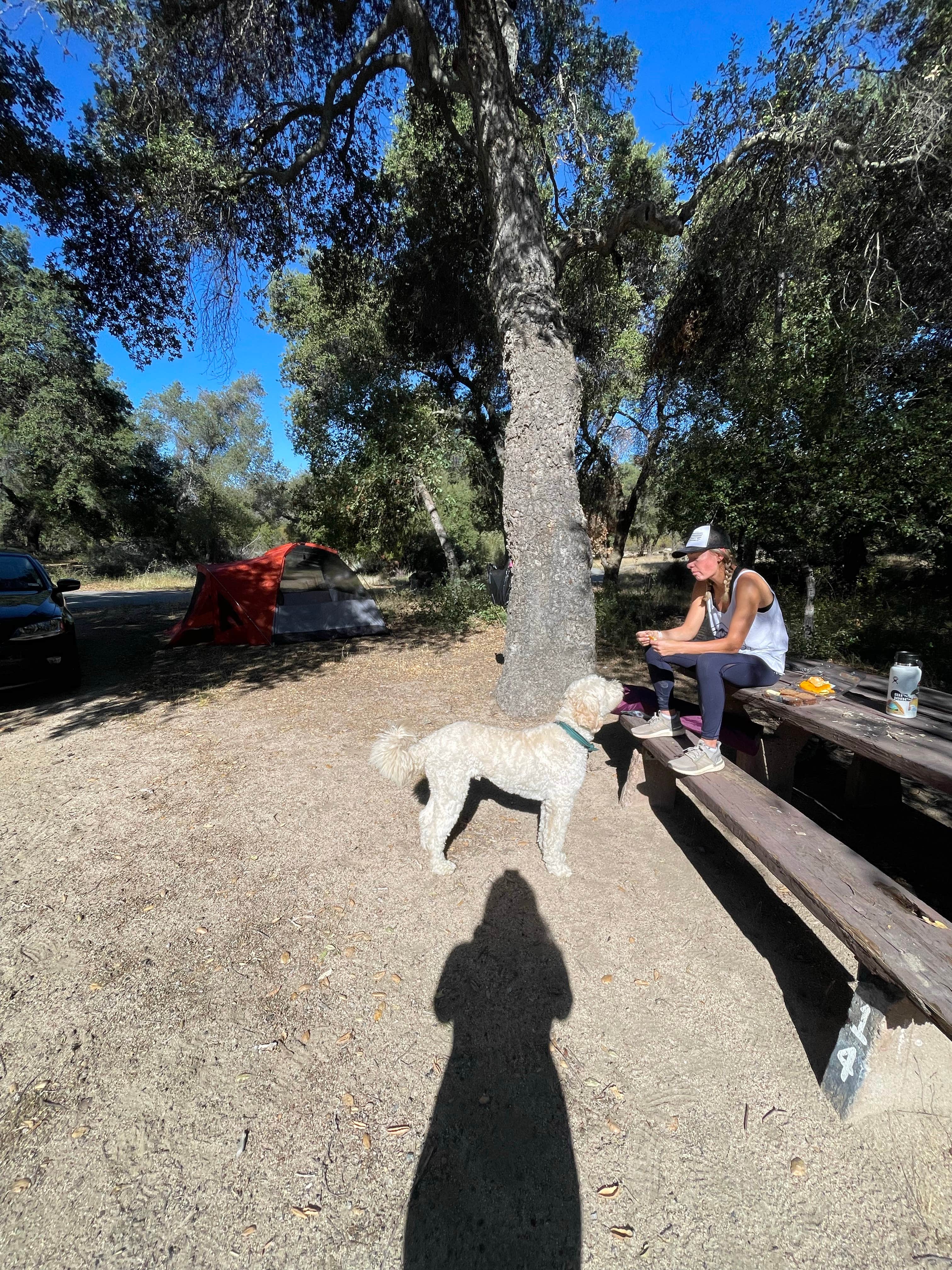 Vanessa C.'s photo at Atáxam Mámta’ash (People's Flat) Campground near Borrego Springs, CA