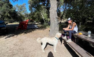 Vanessa C.'s photo at Atáxam Mámta’ash (People's Flat) Campground near San Ysidro, CA