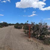 Review photo of Wedge Overlook by Greg L., September 17, 2022