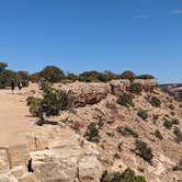 Review photo of Wedge Overlook by Greg L., September 17, 2022