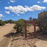 Review photo of Wedge Overlook by Greg L., September 17, 2022