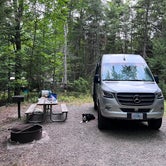 Review photo of Blackwoods Campground — Acadia National Park by Christina V., September 18, 2022