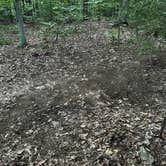 Review photo of Thistle Hill Backcountry Shelter on the AT in Vermont — Appalachian National Scenic Trail by Justin P., September 18, 2022