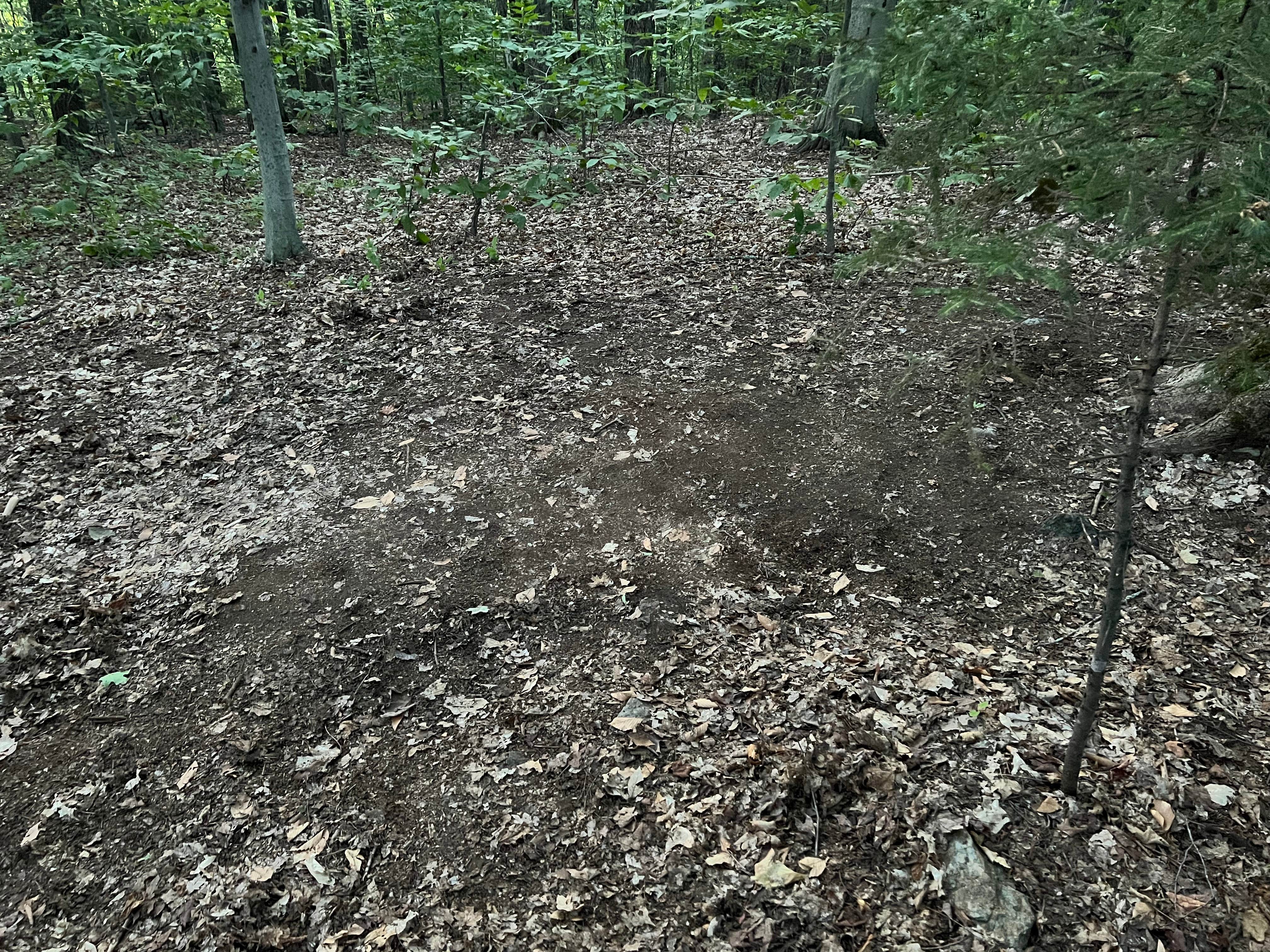 Camper submitted image from Thistle Hill Backcountry Shelter on the AT in Vermont — Appalachian National Scenic Trail - 2