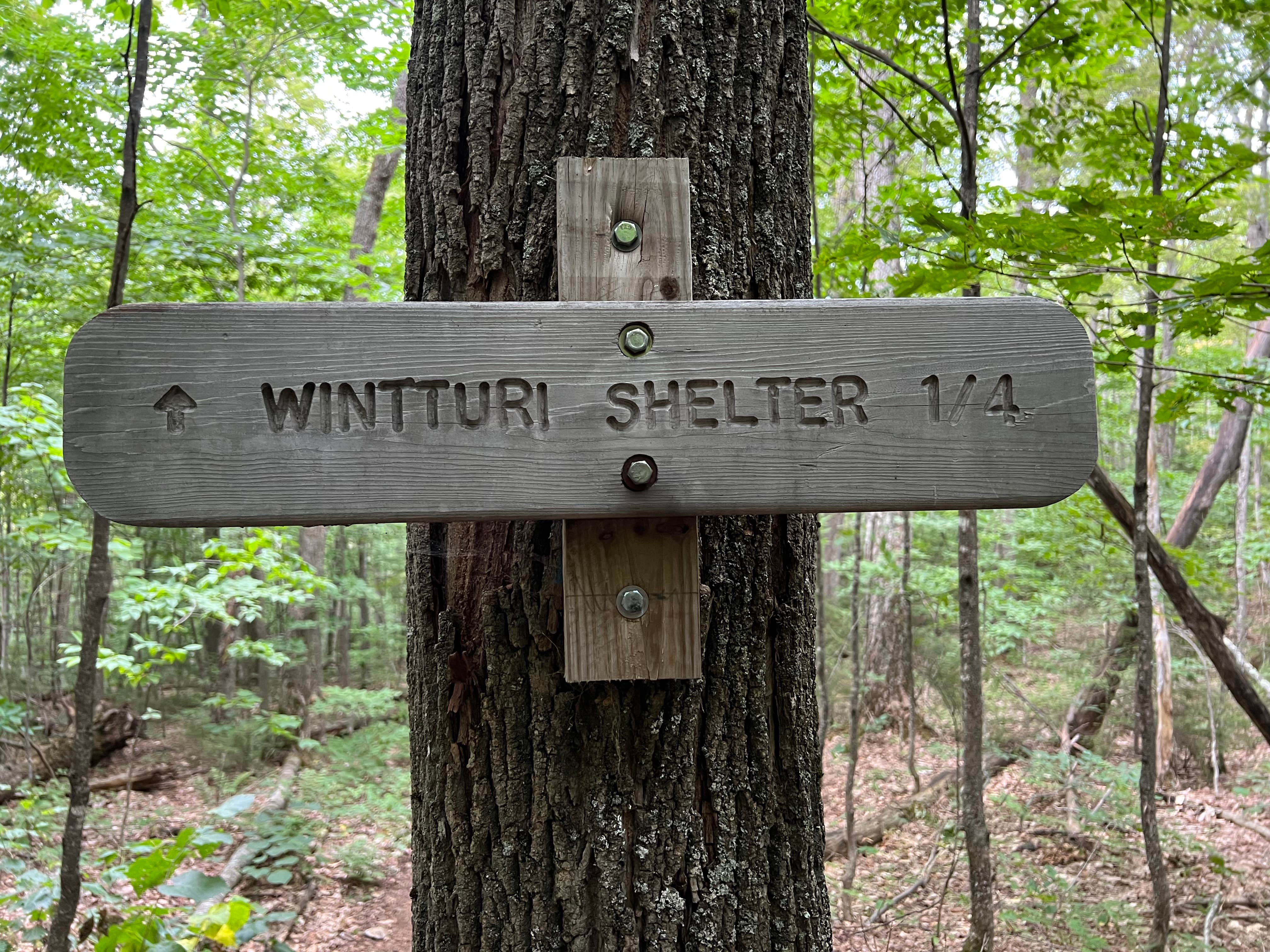 Camper-submitted photo at Winturri Backcountry Shelter on the AT in Vermont — Appalachian National Scenic Trail near South Royalton, VT