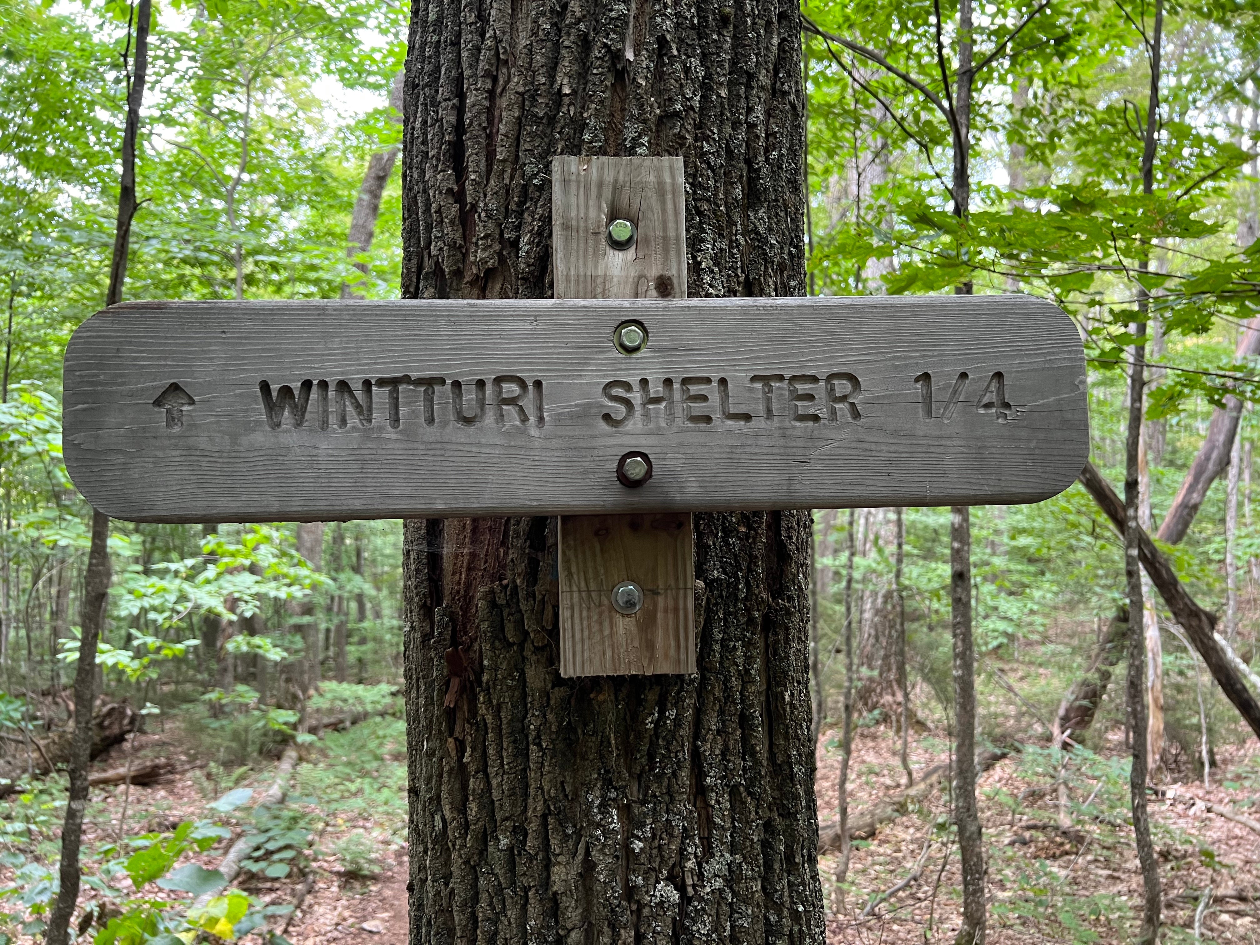 Camper submitted image from Winturri Backcountry Shelter on the AT in Vermont — Appalachian National Scenic Trail - 2