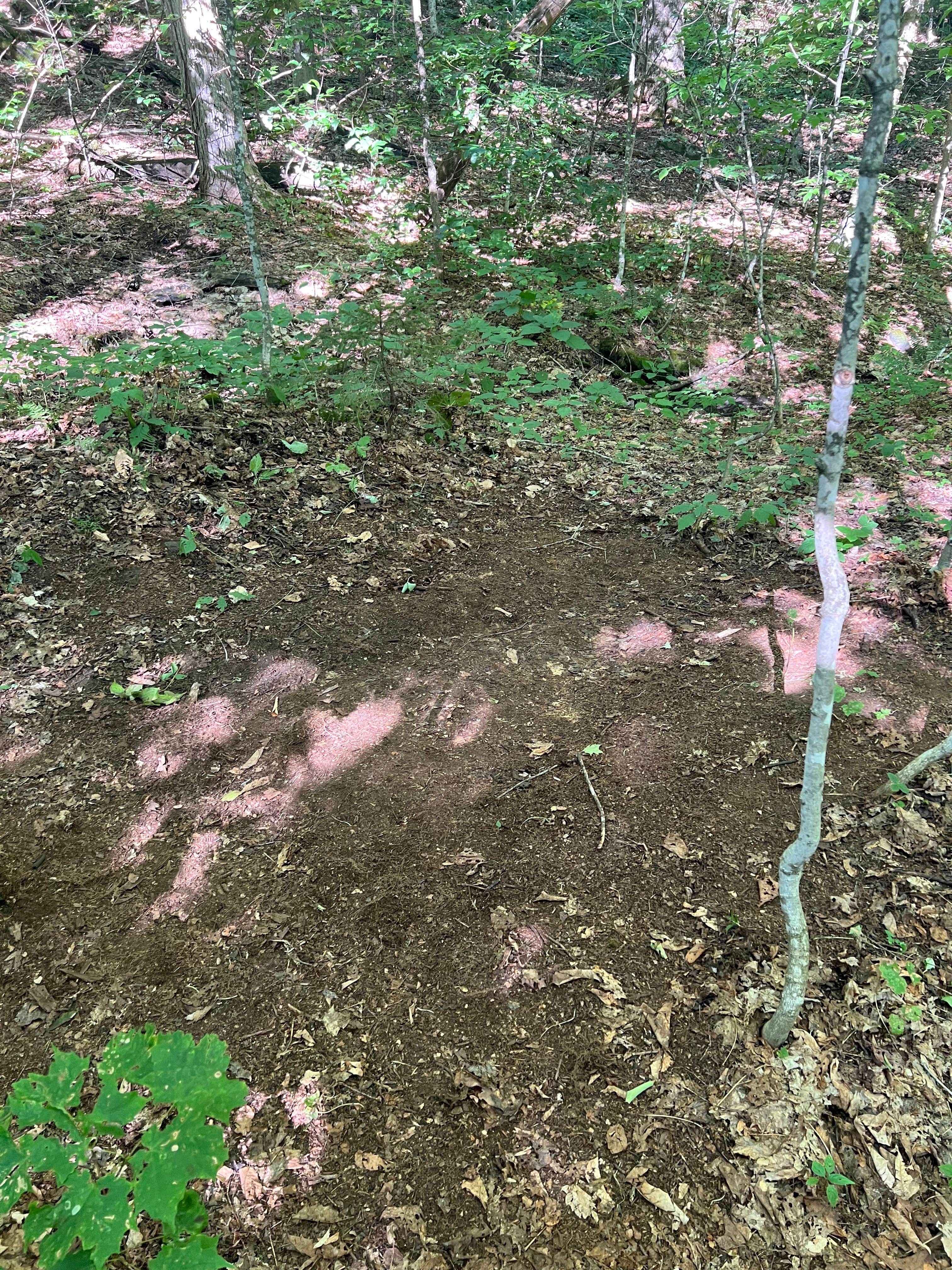 Camper-submitted photo at Winturri Backcountry Shelter on the AT in Vermont — Appalachian National Scenic Trail near South Royalton, VT